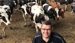 Halting the trend towards bigger cows